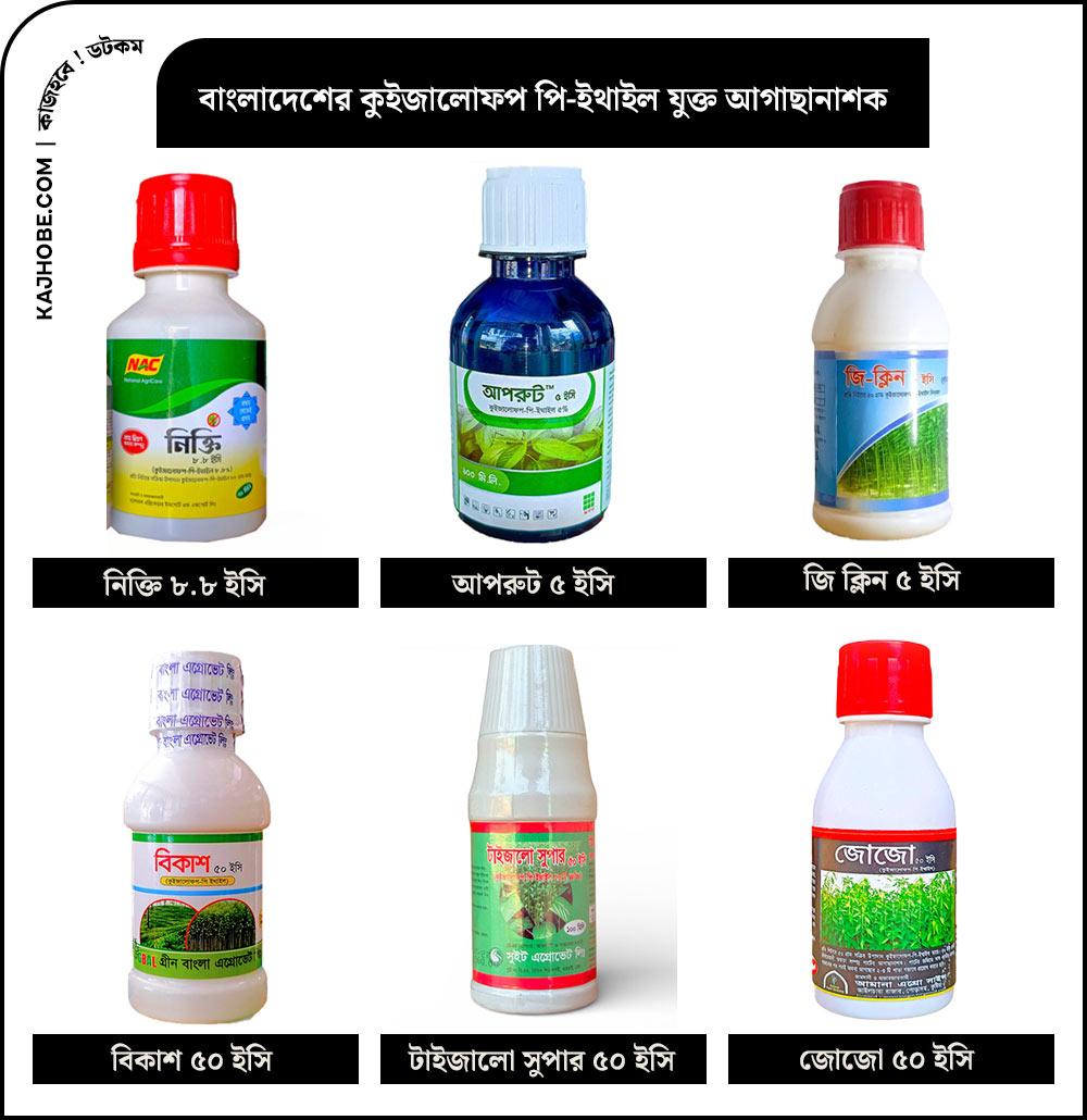 bangladeser-vitr-kuijalofp-pi-ithail-zukt-agachanasker-nam-01.jpg
